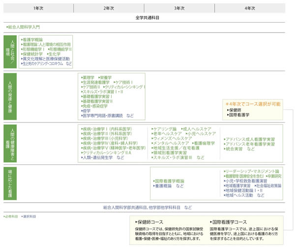 国家試験合格実績