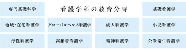 国家試験合格実績